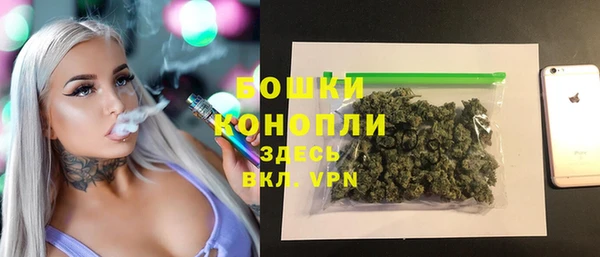 MDMA Новозыбков
