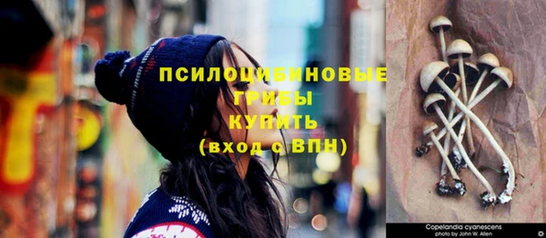 СК Нязепетровск